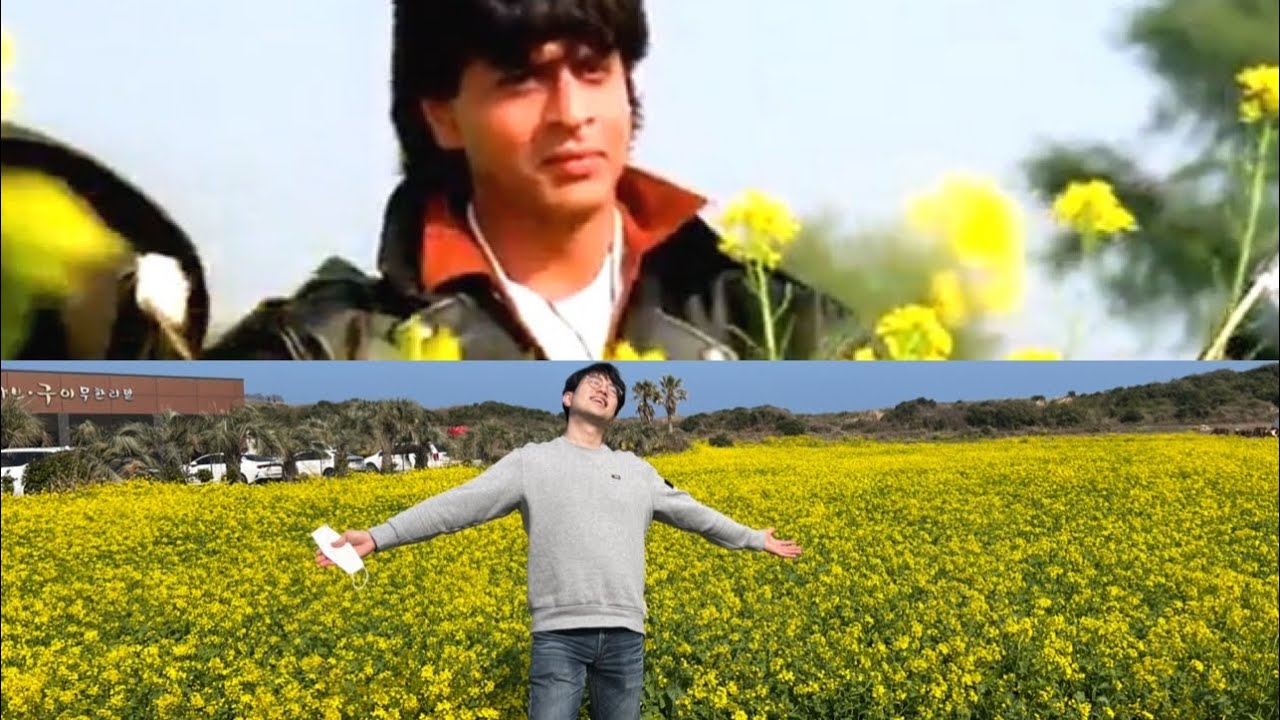 Spotted Shah Rukh Khan in Korea 🇰🇷