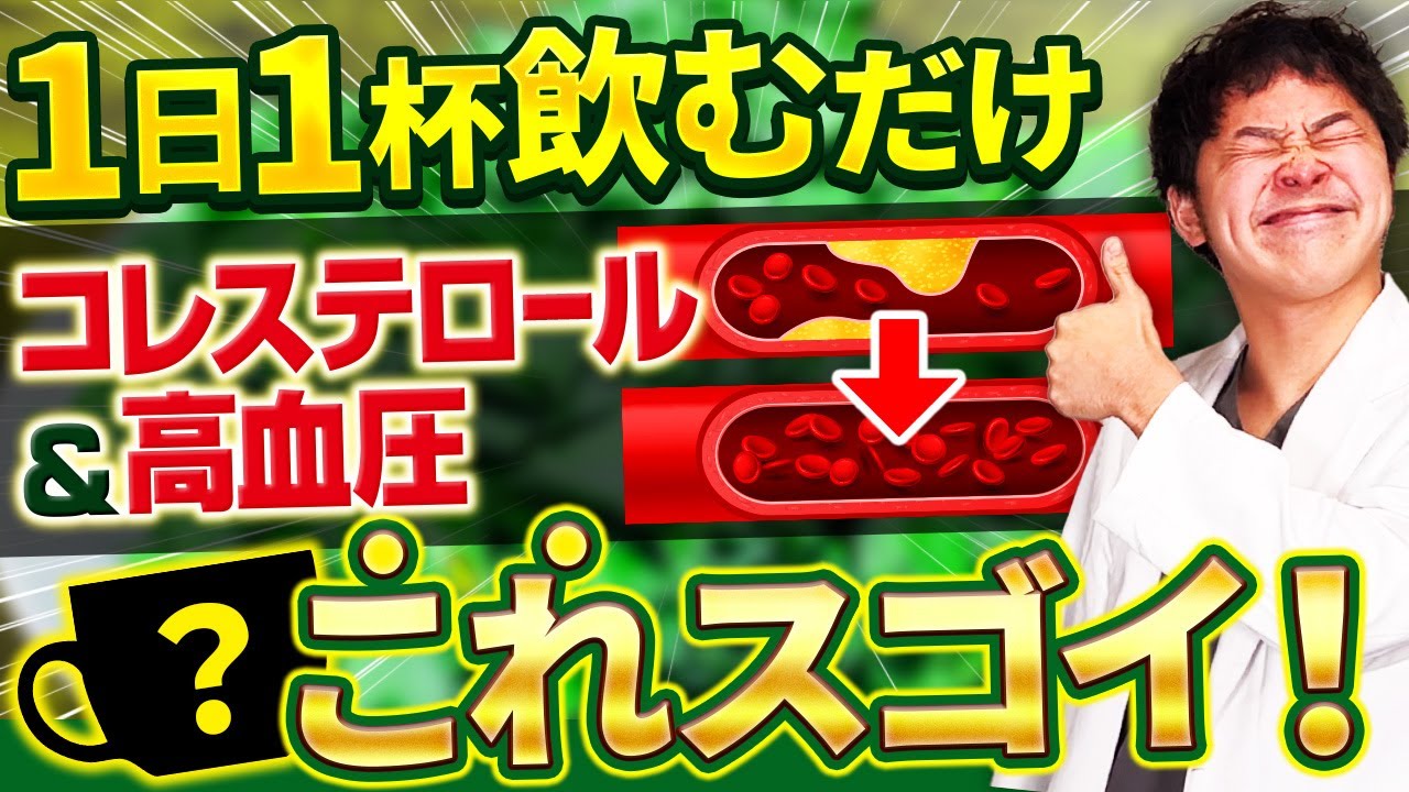 【40代〜脂質異常症】コレステロール&高血圧を下げる飲み物!?!?【現役糖尿病内科医】