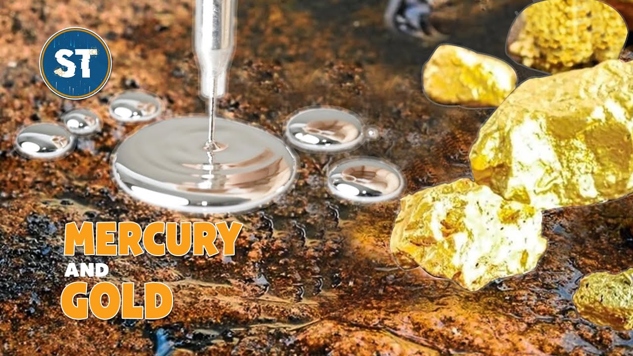 Sci-Tech Quests | Why is mercury used in gold mining?