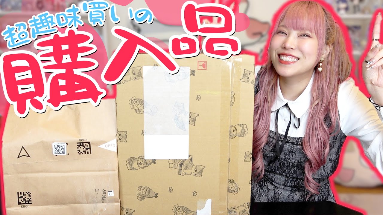 5万円分の購入品をうっかりゆる～く紹介してしまった、ぜのぷろ。