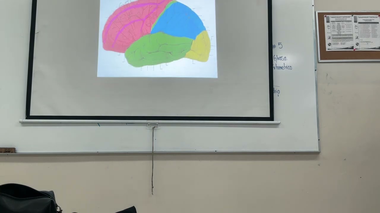 Clase 9 de febrero