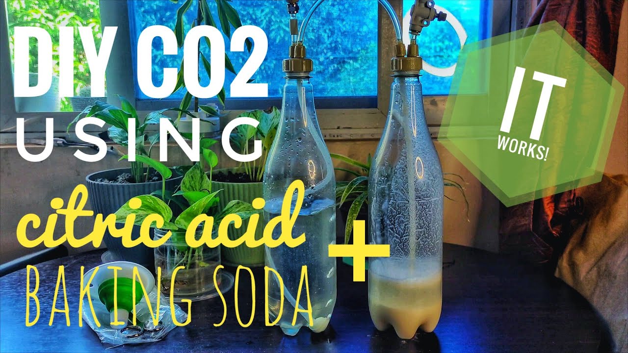 DIY CO2 USING BAKING SODA AND CITRIC ACID