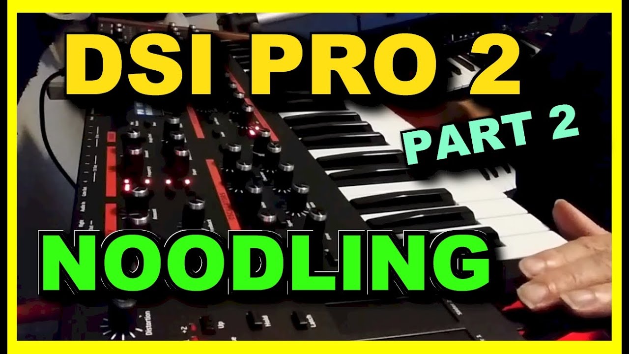 DSI Pro 2 Demo Part 2