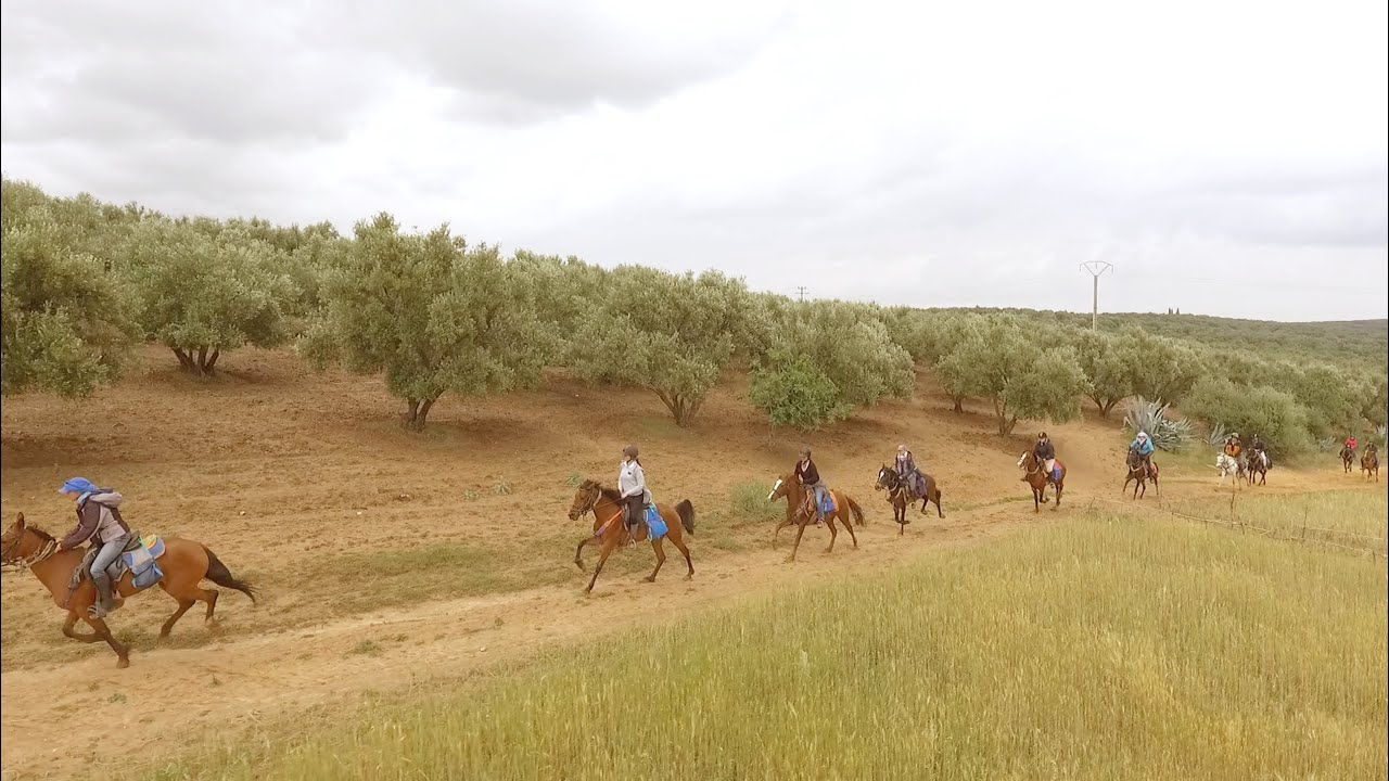 Reportage:  Maroc, Voyage à cheval - Méknès