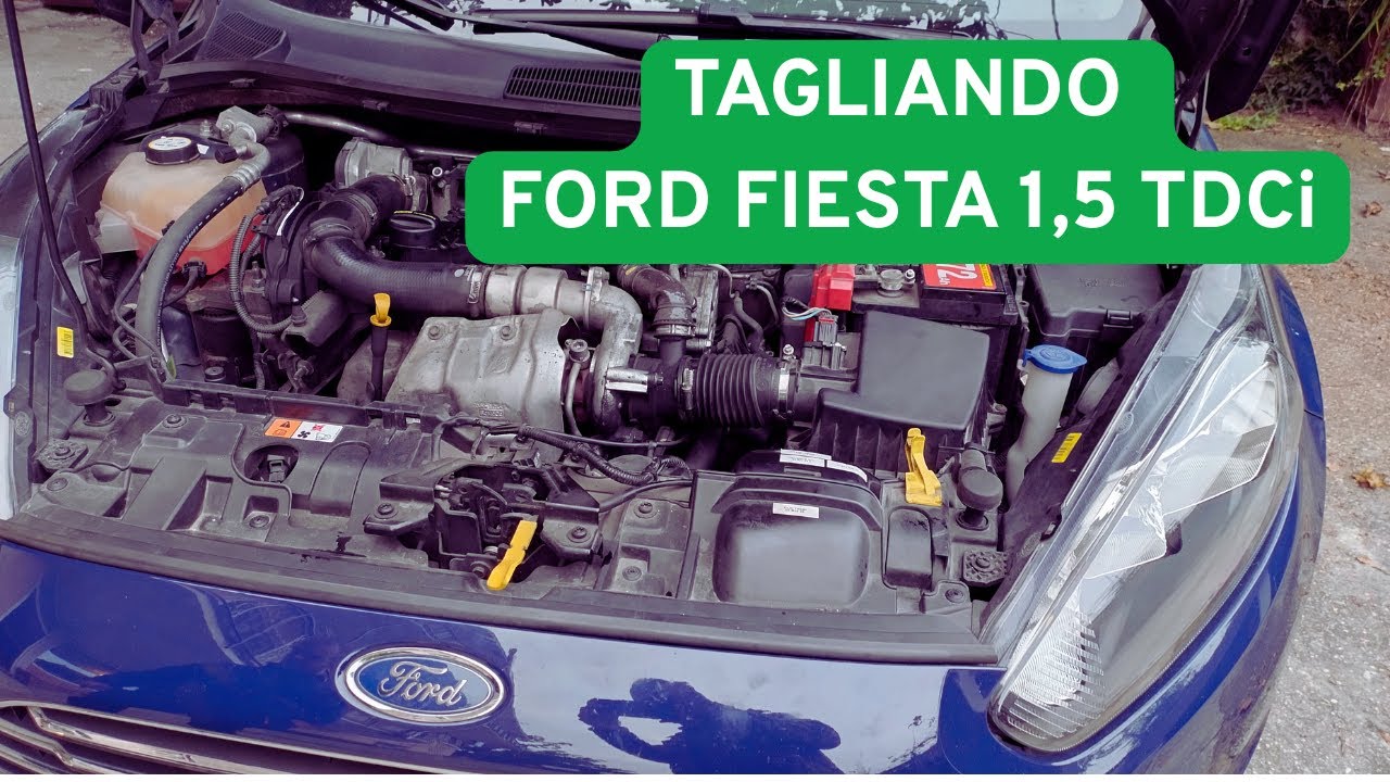 Tagliando Ford Fiesta 1,5 TDCi 2013 (MkVI Restyling) - Come si fa? 