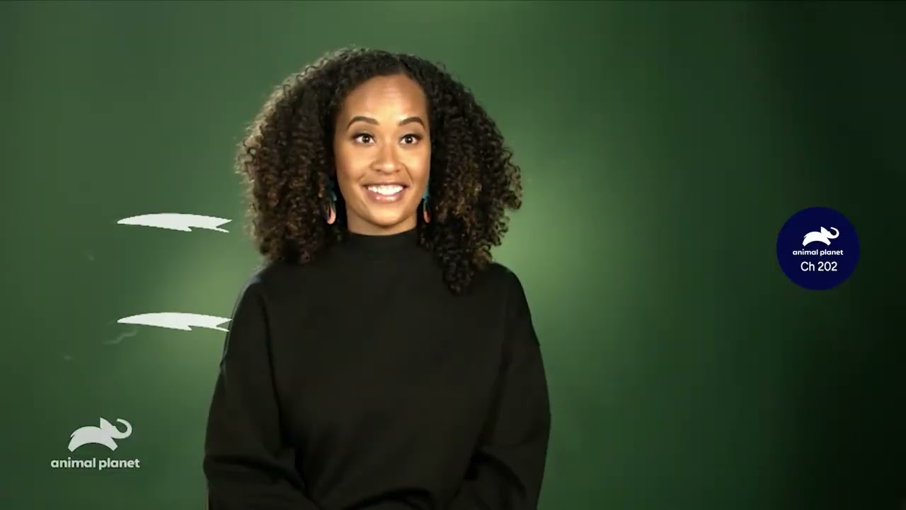 WhatsOnAnimalPlanet: Суперживотные