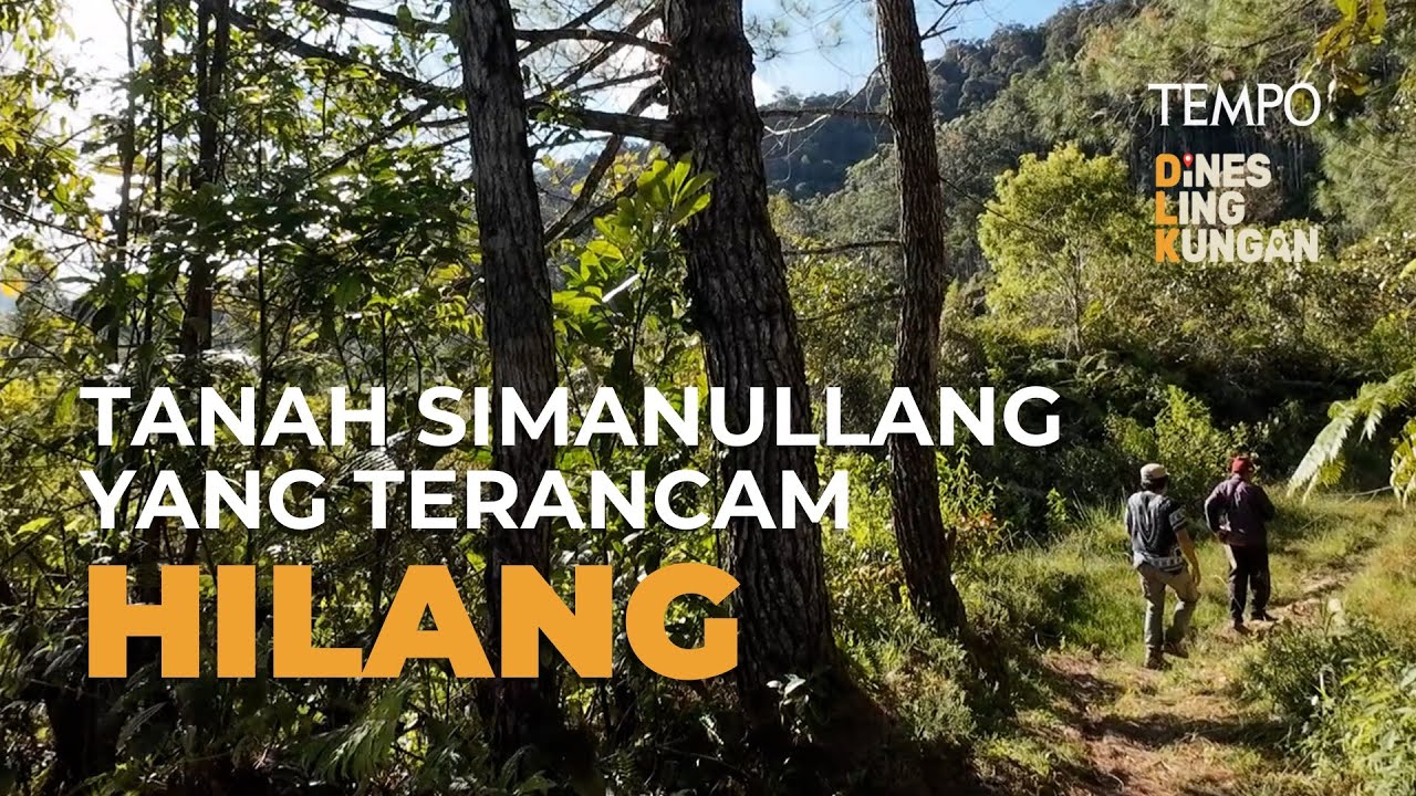 Mencari Sumber Mata Air yang Terancam Food Estate di Sumatera Utara | Dines Lingkungan Eps #8