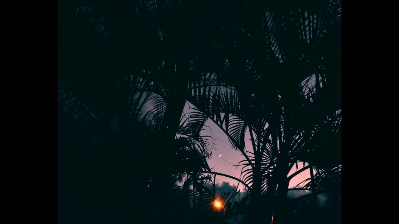 SaneBeats - Tarzana