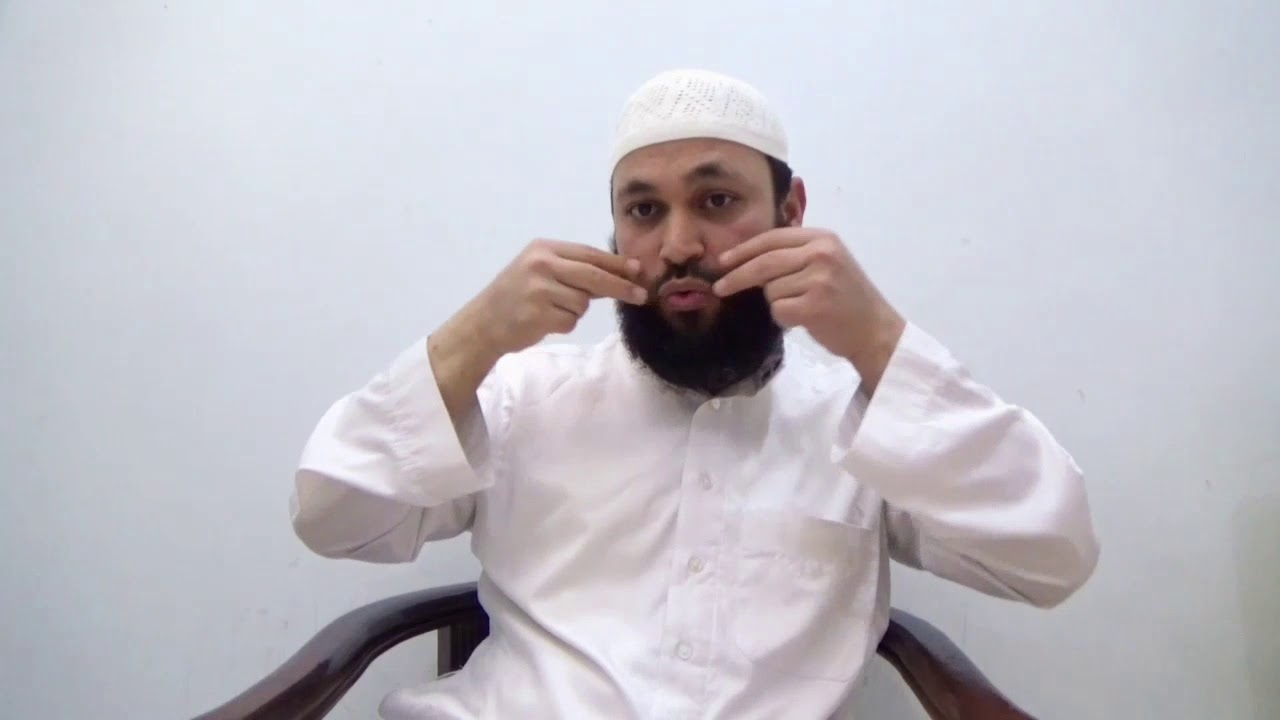 لا للتزيين بصور حيوانات صانع ملصقات الصور