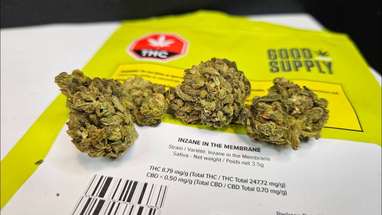 Strain Review Inzane In The Membrane By Good Supply