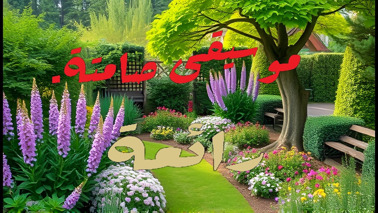 موسيقى صامتة  رائعة.
