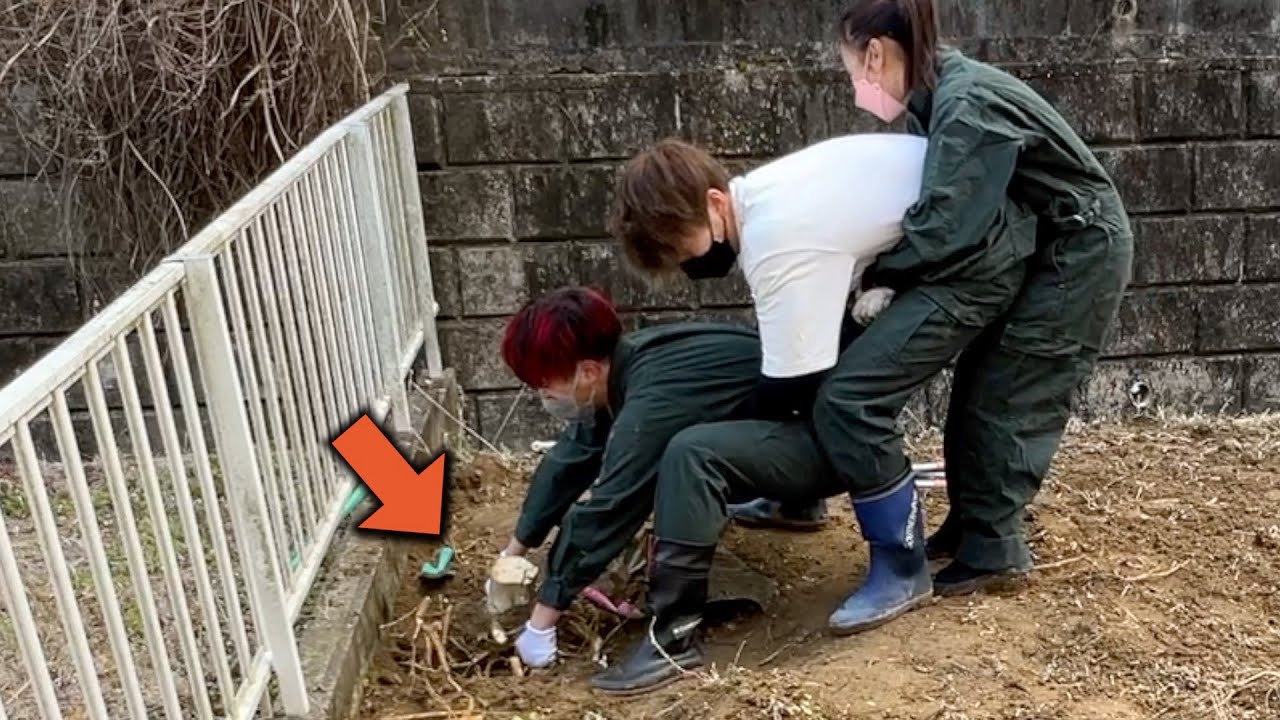 Создайте тренировочную площадку во дворе дома.