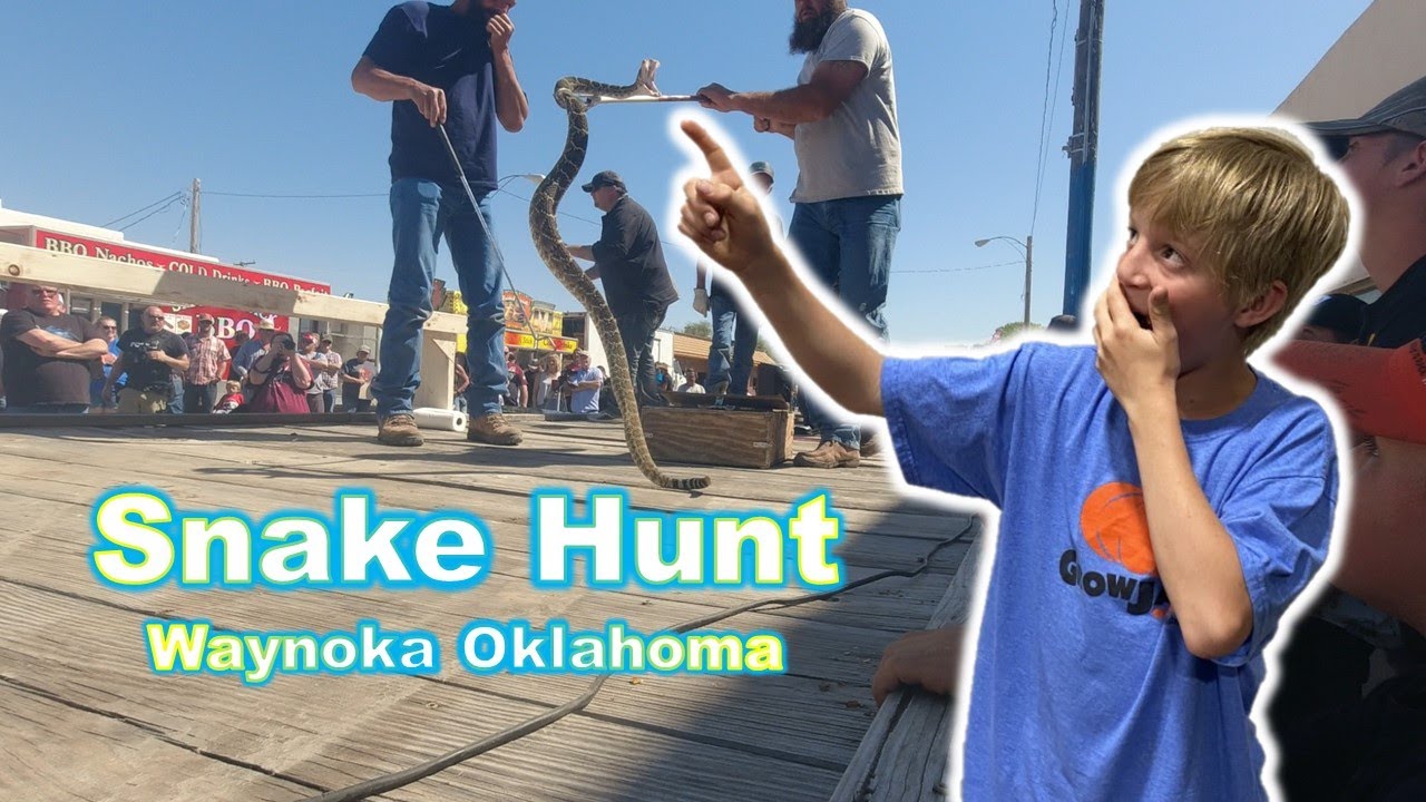 75th Annual Rattlesnake Hunt ~Waynoka Oklahoma~