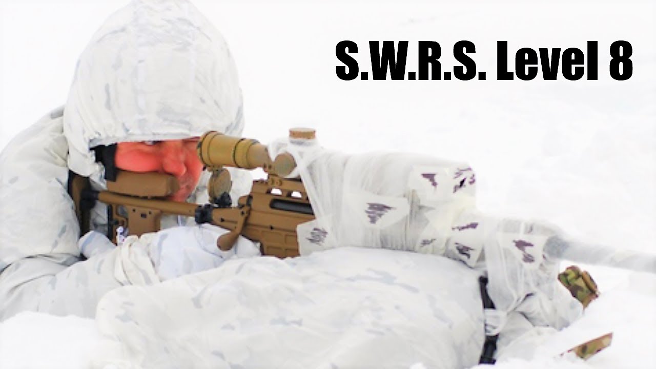 S.W.R.S. Level 8 и его странные братья.
