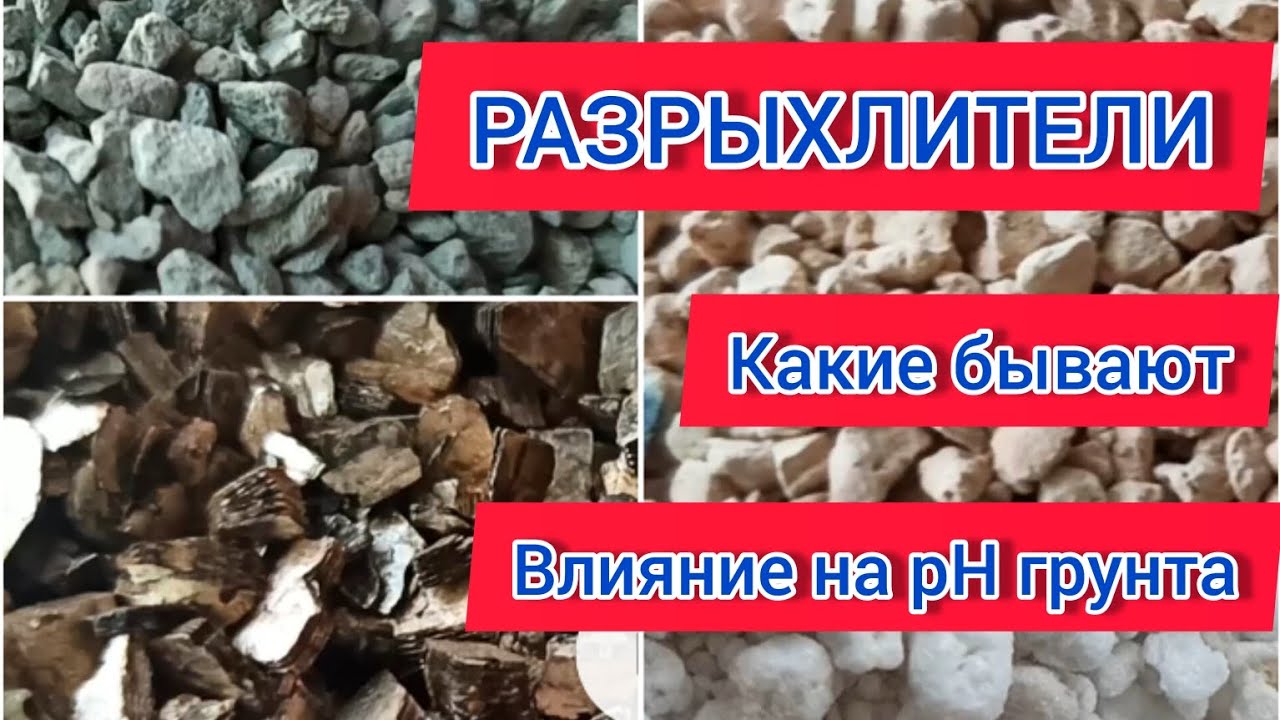 Самые популярные и доступные разрыхлители грунта. Плюсы и минусы, влияние на pH грунта