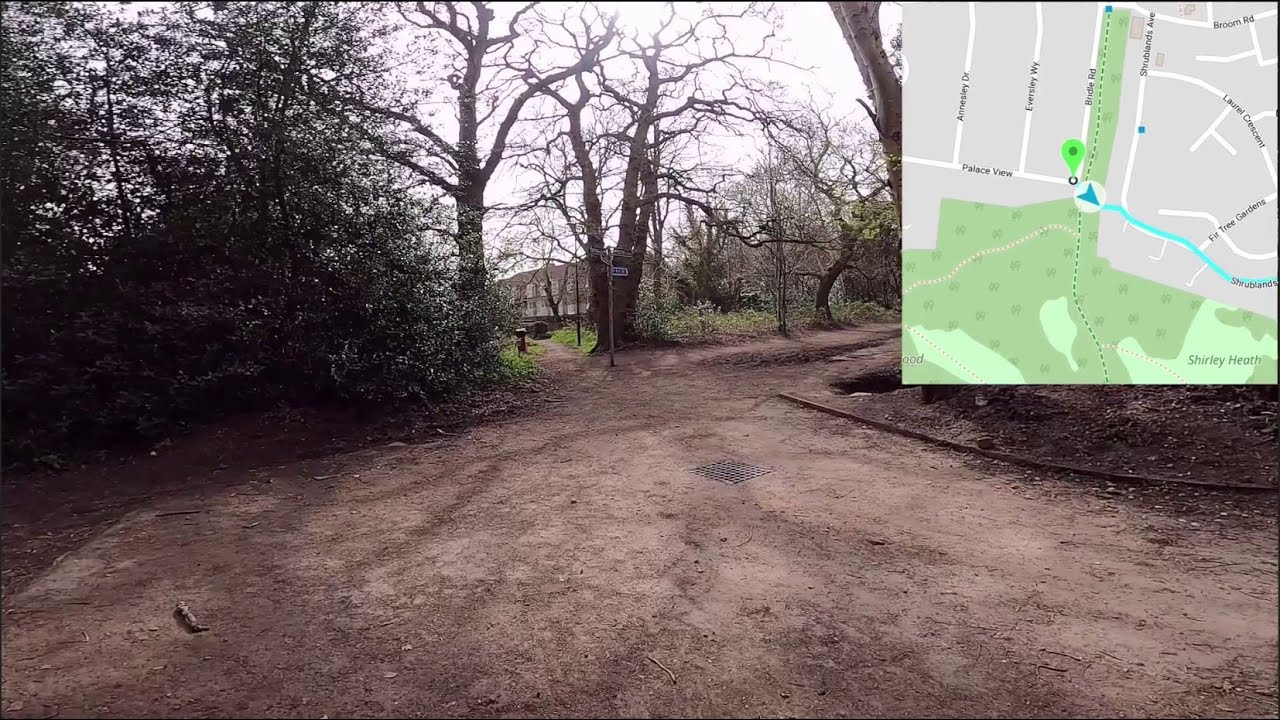 New Addington Woods