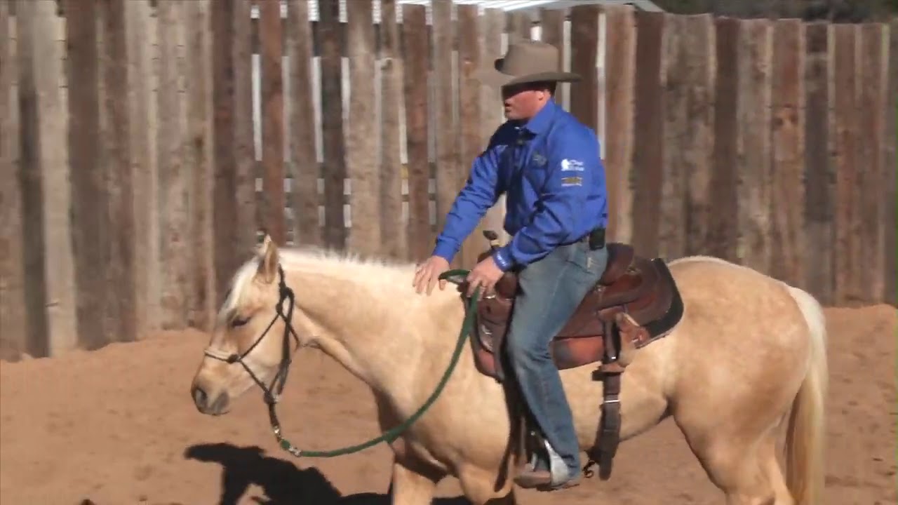 Casey Deary Starting 2-Year-Olds Part 5