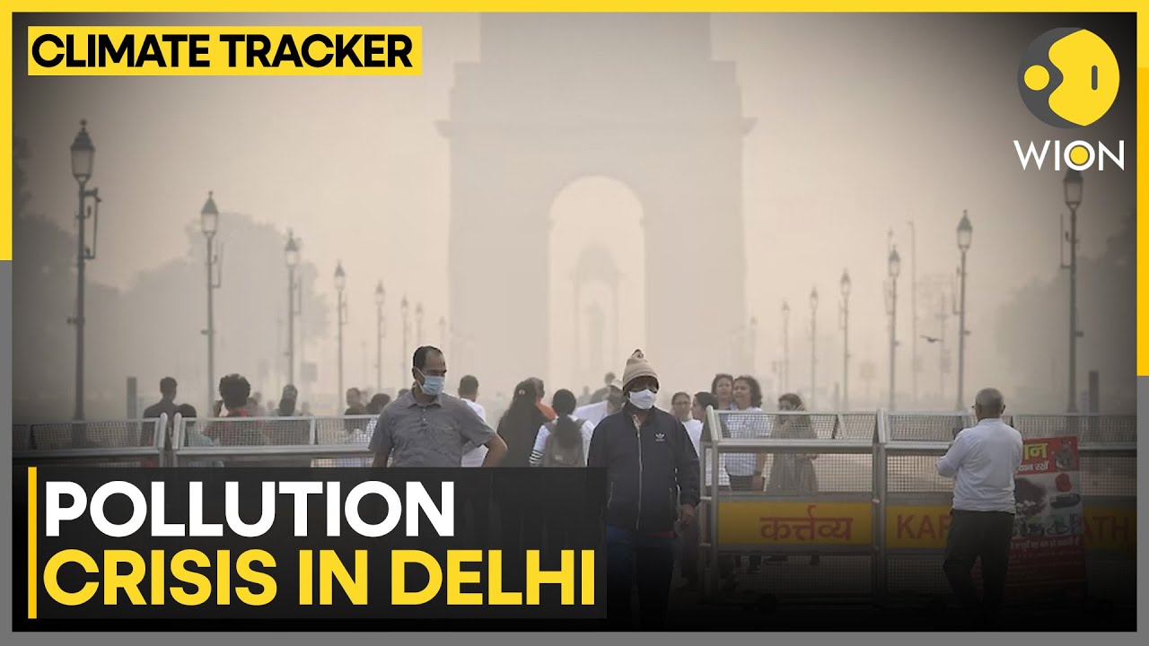 Delhi Pollution Protest: Air Quality Worsens, Protesters Demand Action From Delhi Govt | WION