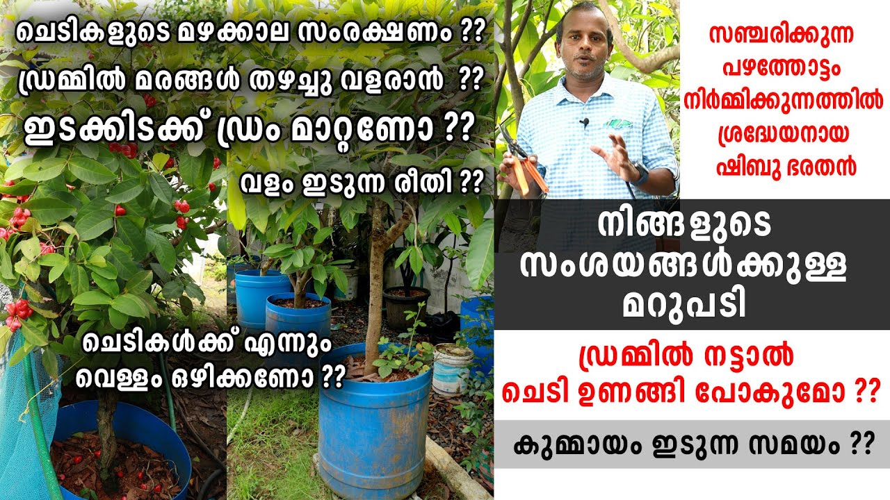 ചെടികളുടെ മഴക്കാല സംരക്ഷണത്തെക്കുറിച്ചുള്ള സംശയങ്ങൾക്കുള്ള മറുപടി | Shibu Bharathan's Tips