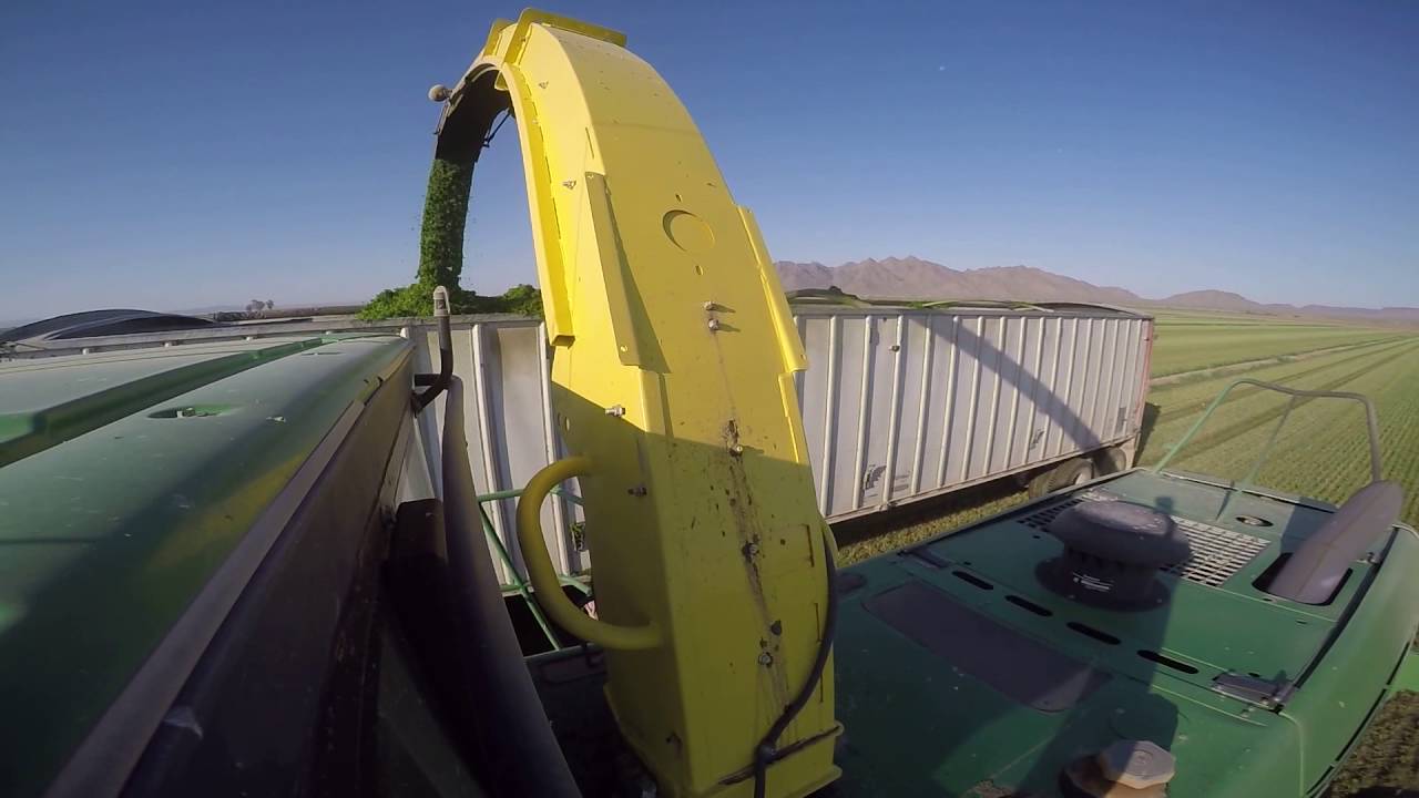 John Deere 7350 Forage Harvester, Alfalfa Green Chop, Exterior