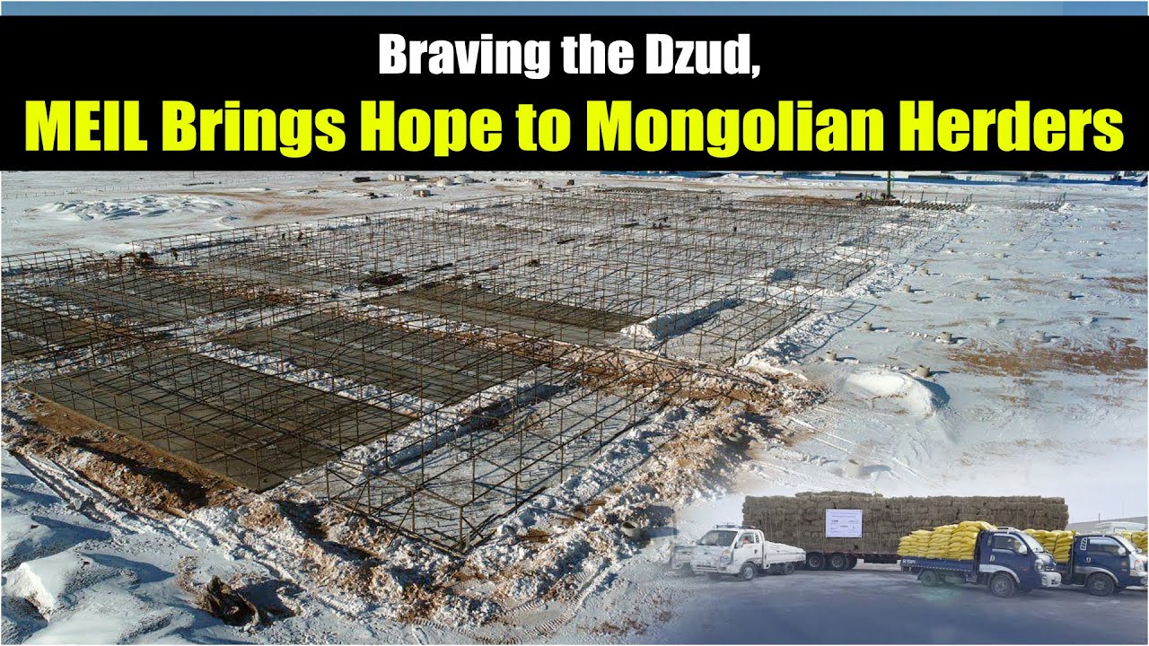 Hope in the Dzud, MEIL Stands with Mongolian Herders | MEIL