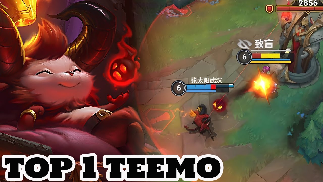 Wild Rift Top 1 Teemo Best Teemo player Gameplay Rank Master