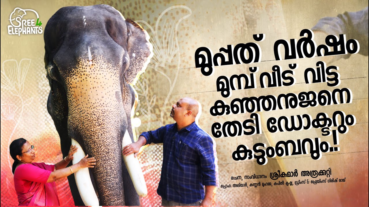 റോസ്മേരി..ഗീതാ ബക്ഷി ശാരദക്കുട്ടി തുടങ്ങിയ എഴുത്തുകാർ ഉൾപ്പെടെ ഒട്ടേറെ പ്രമുഖർ ഏറ്റെടുത്ത ആനയന്വേഷണം