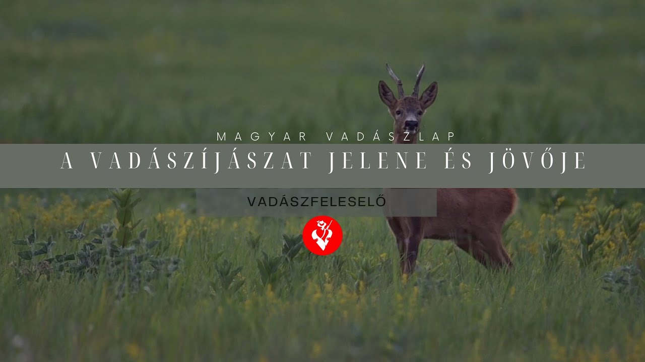 Vadászfeleselő 3/6. - A vadászíjászat jelene és jövője