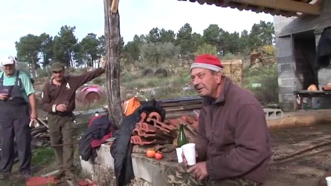 Apanha da Azeitona Valpaços