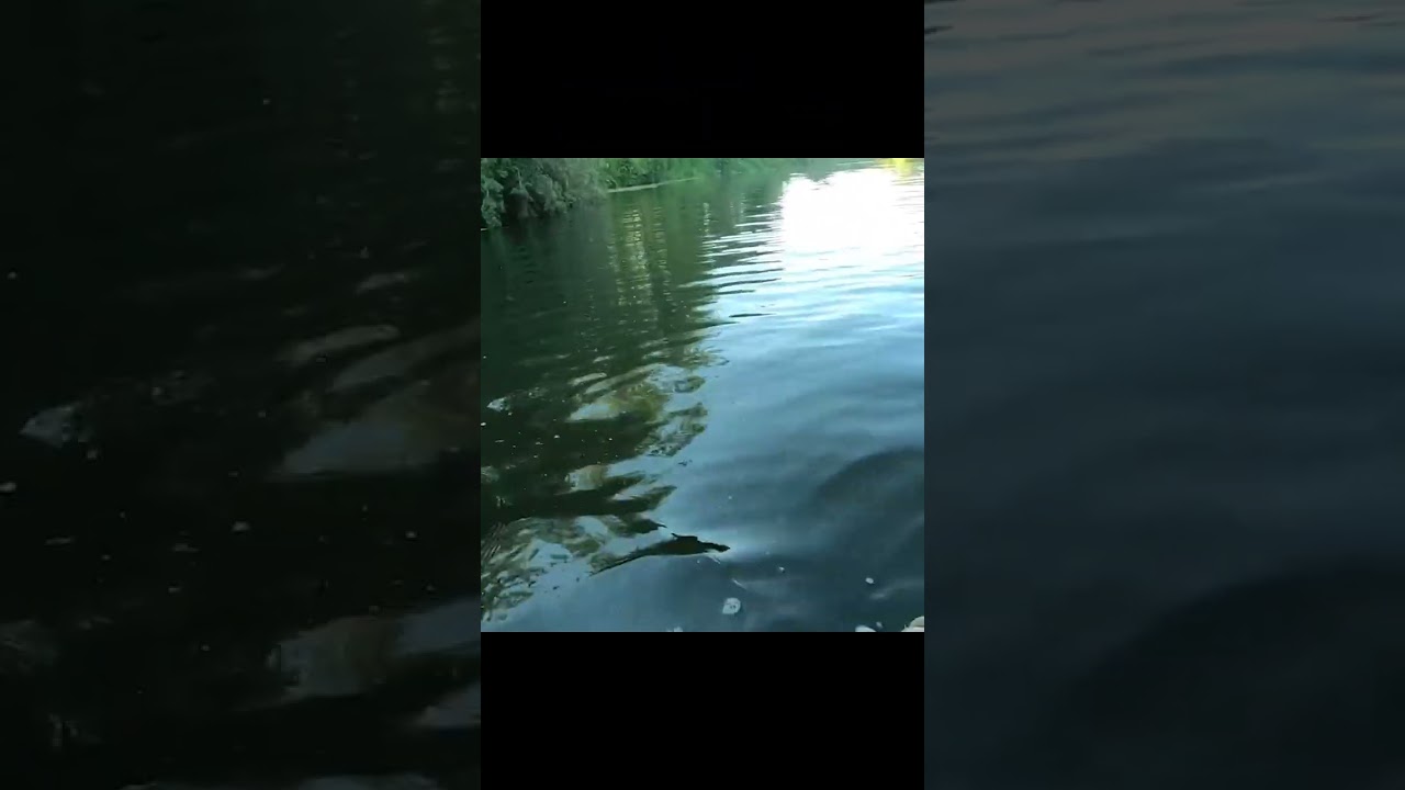 Boat jumpscare
