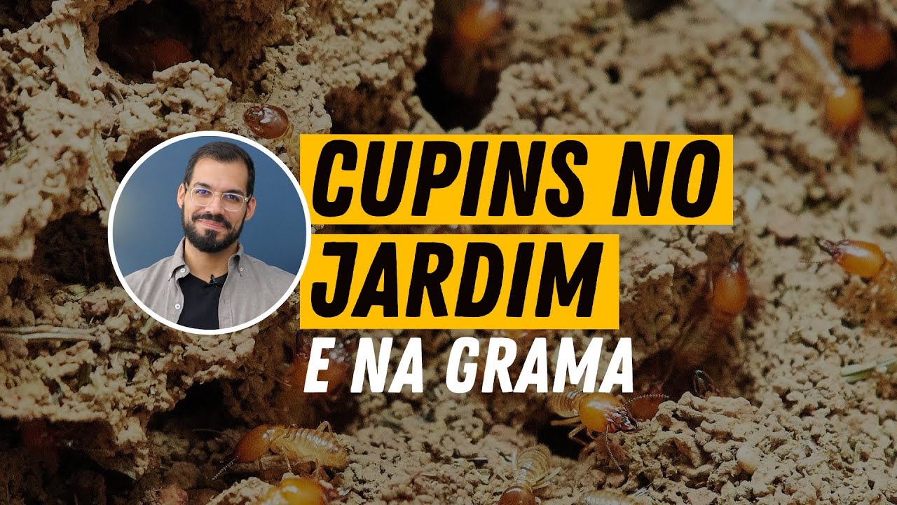 Como eliminar CUPINS do jardim