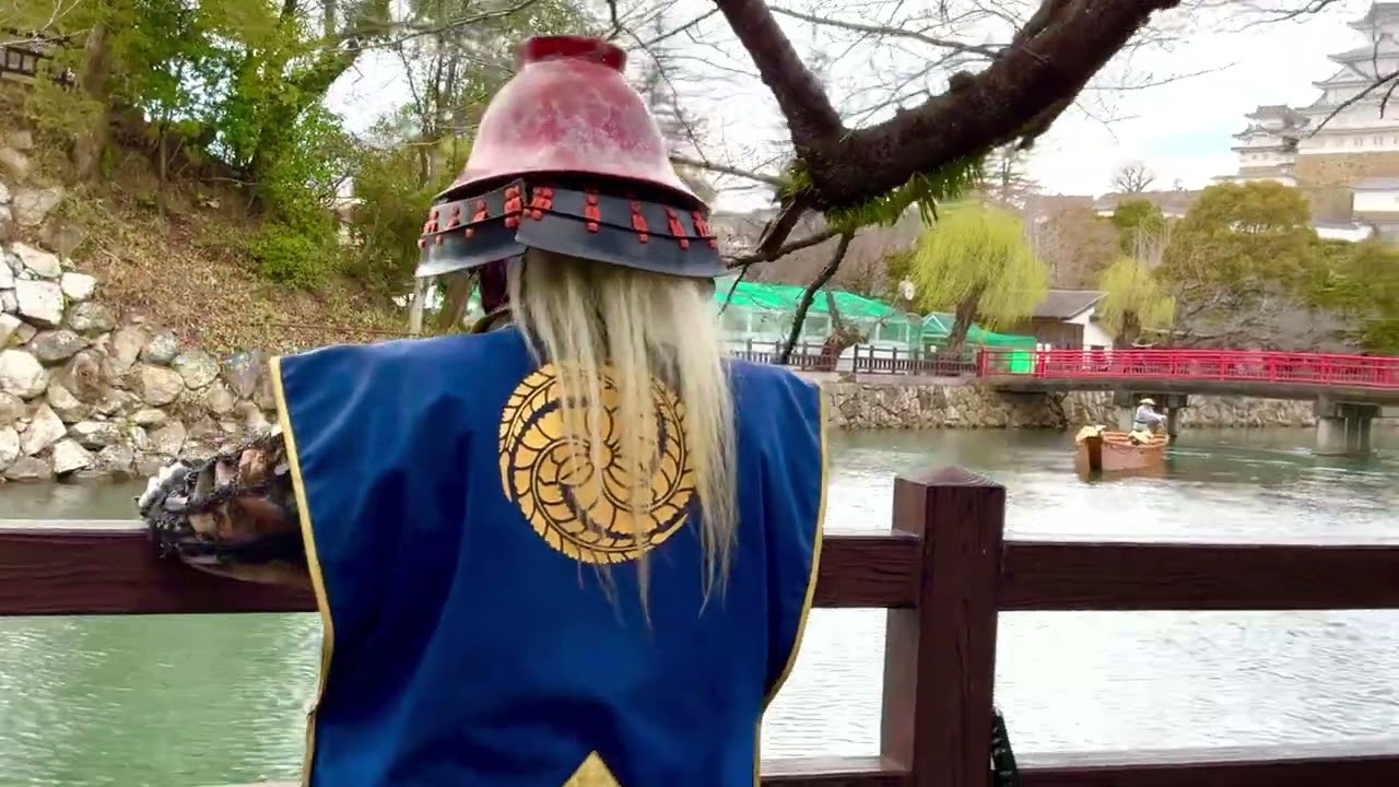 🟡【突撃カメラマン】﻿「おもてなしボランティア活動❗️」（動画） ー 『播州黒田武将隊』武将 “ 黒田官兵衛 ” ⚔️出陣❣️② ー