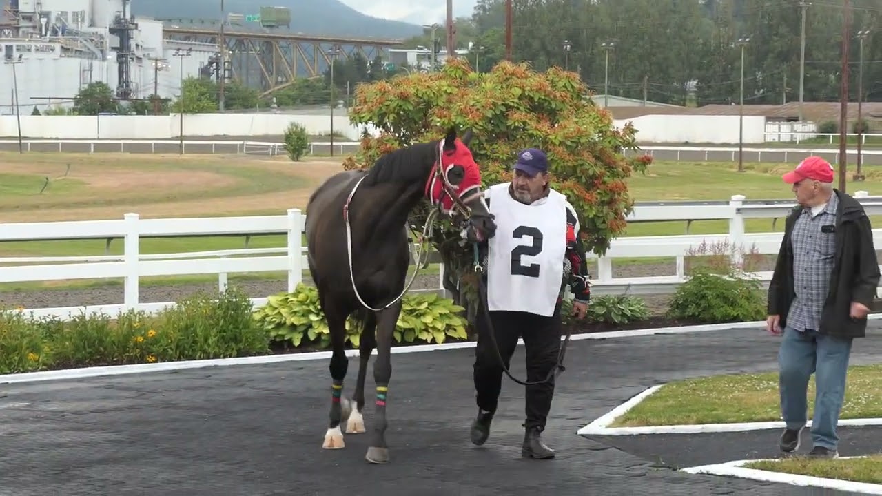 2025年6月20日。Hastings競馬場第3レースパドック