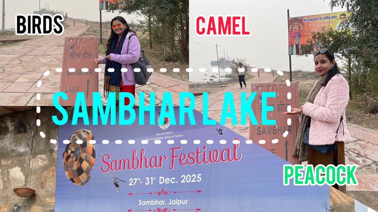 Sambhar Jheel Rajasthan 