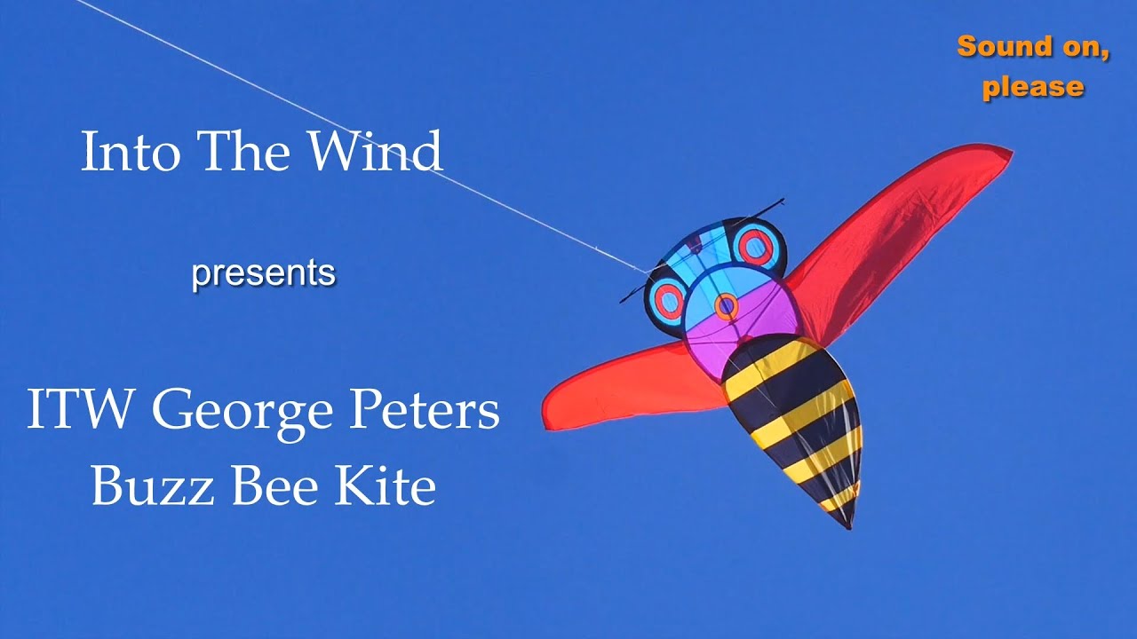 ITW George Peters Buzz Bee Kite