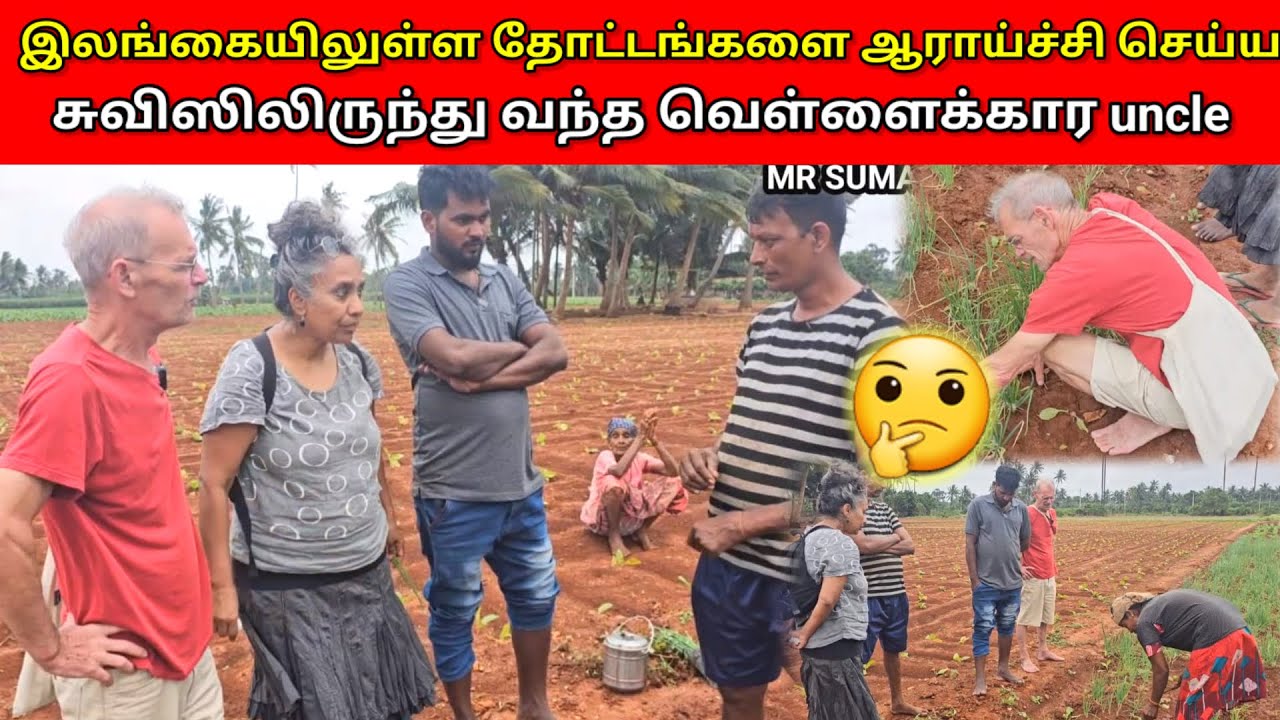 இலங்கையிலுள்ள தோட்டங்களை ஆராய்ச்சி செய்ய வந்த வெள்ளைக்கார uncle 🤔 | Vlog | MR SUMAN