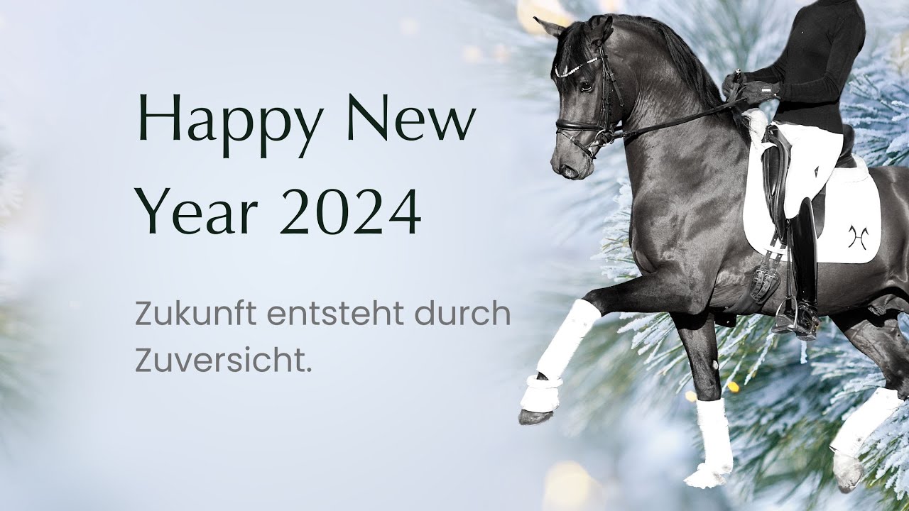 Happy New Year 2024 🎆🥂🍾🎠