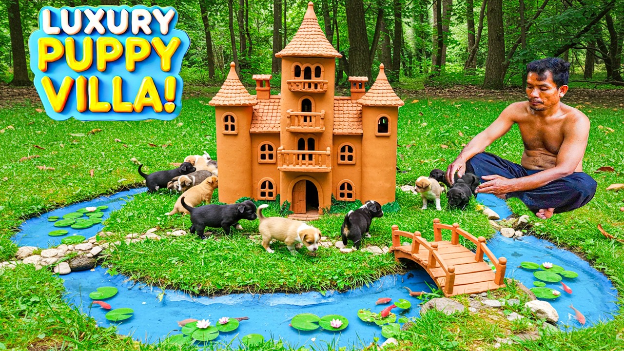 Building a Luxury Villa for Rescue Puppies &ndash; Heartwarming Transformation!