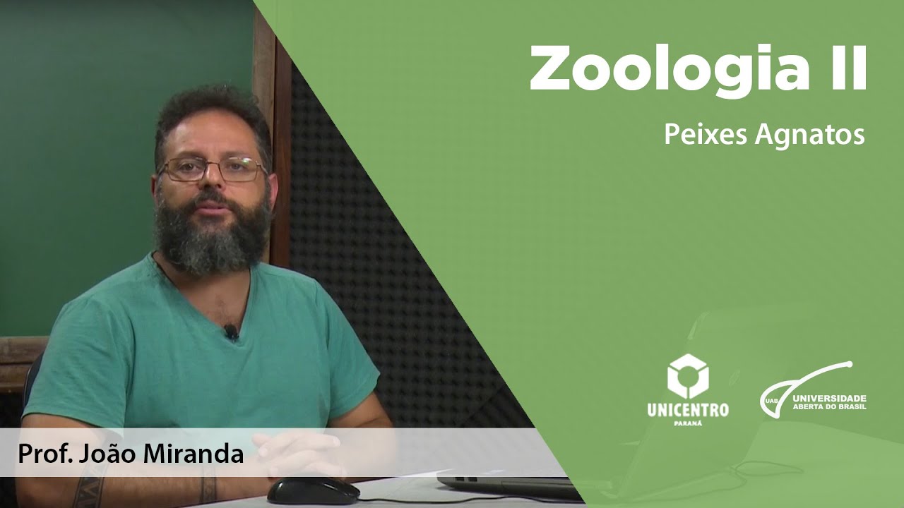 [BIO] Peixes Agnatos - Zoologia II