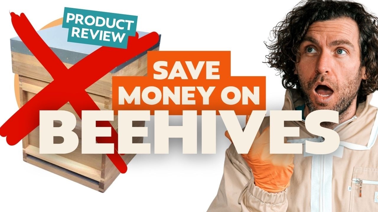 The Perfect Beehive - How To Choose The Best Hive For Your Bees