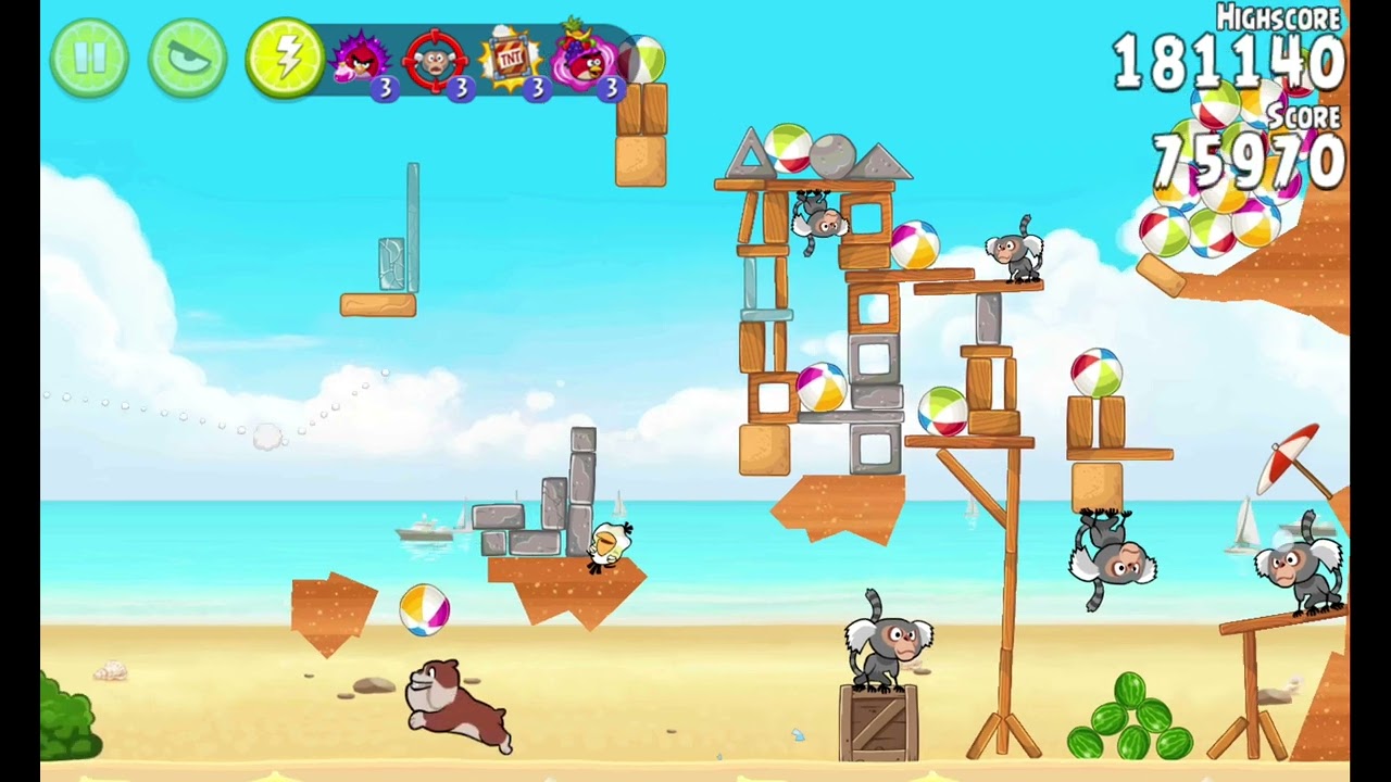 Angry birds rio beach vollies password 3