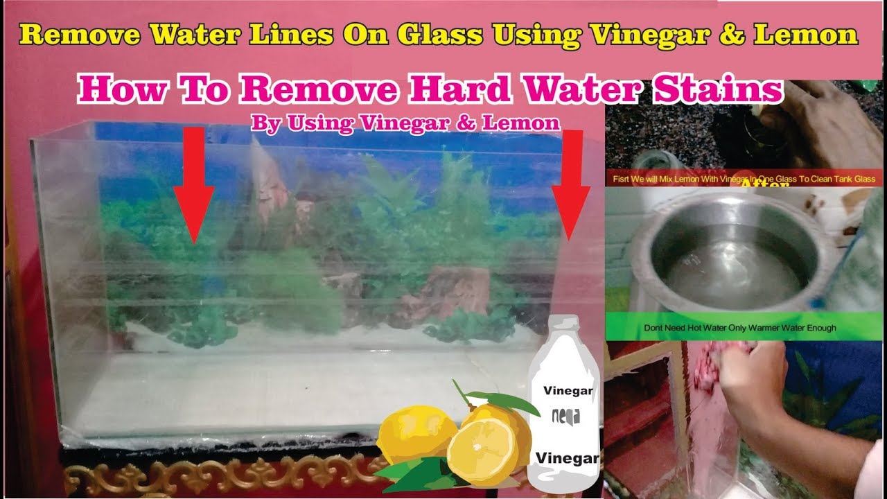 Removing Hard Water Stains from Aquarium # How to remove calcium build-up or white lines
