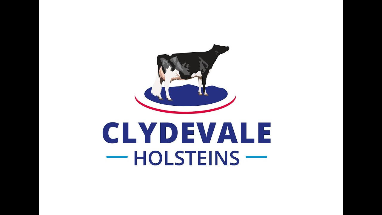 Clydevale Holsteins Compost Barn - Australia