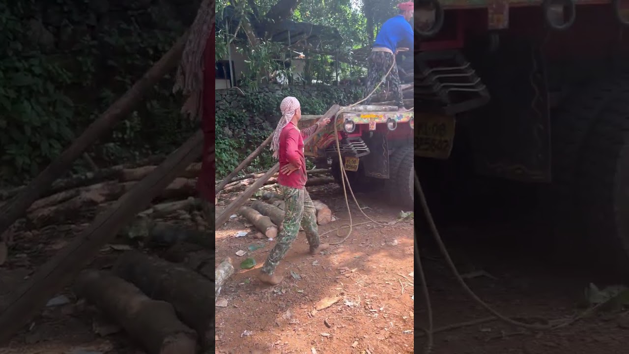 ഒരു ടൻ ഉള്ള ഒരറ്റ  മരം  ഒറ്റയ്ക്ക്  ലോഡ്  ചെയ്യുന്നു.