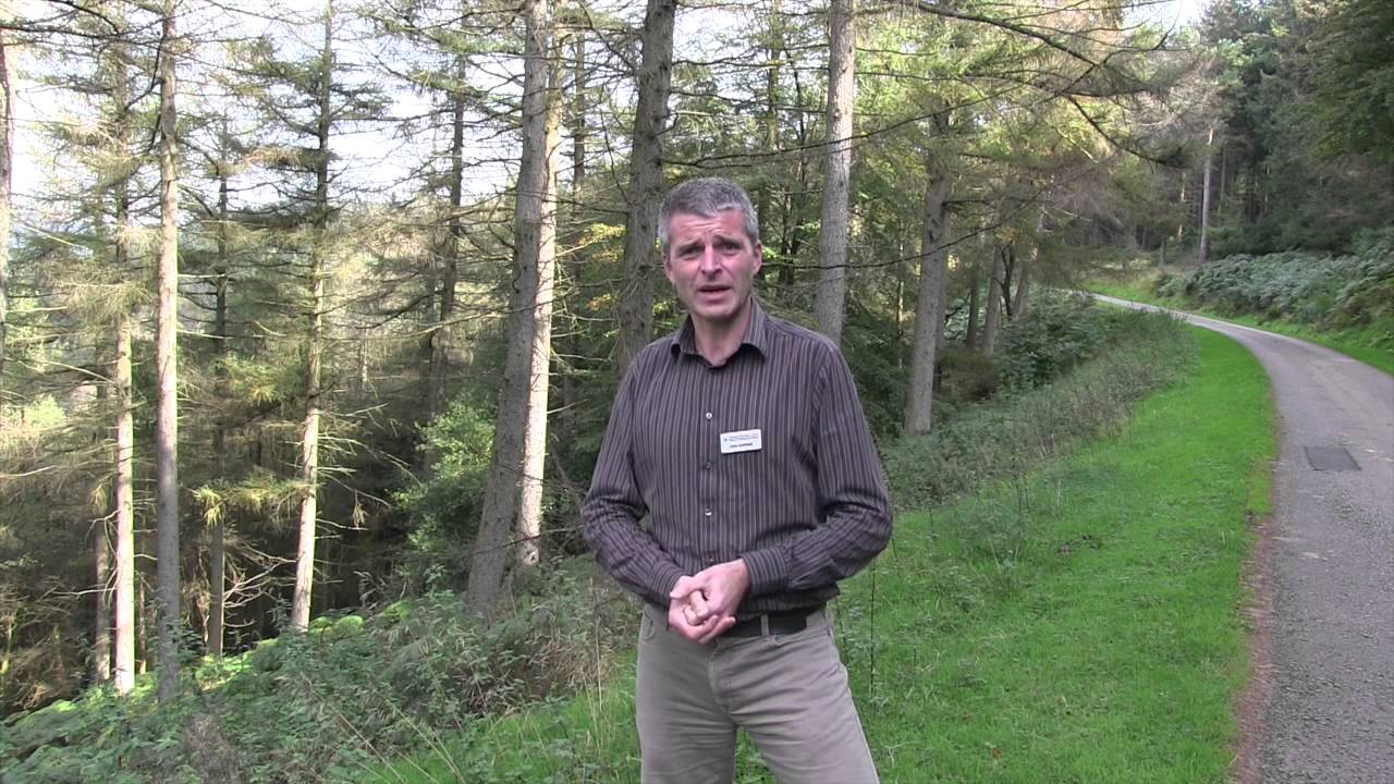 Cwmcarn Forest Drive - September 2014 (Full version)