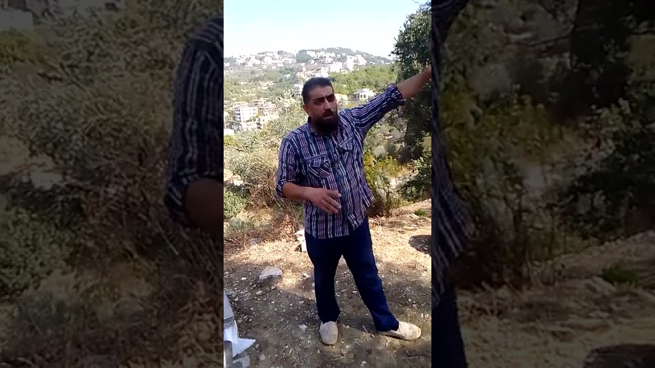 اكتشاف علمي جديد في علاج الفاروا والنوزيما