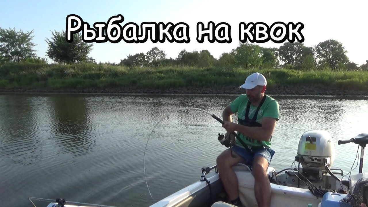 в какой момент подсекать сома ? рыбалка с квоком на реке , и поклевка крупного сома