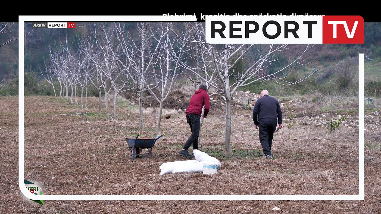 Plehrimi, krasitja dhe spërkatja dimërore | Veri Jug