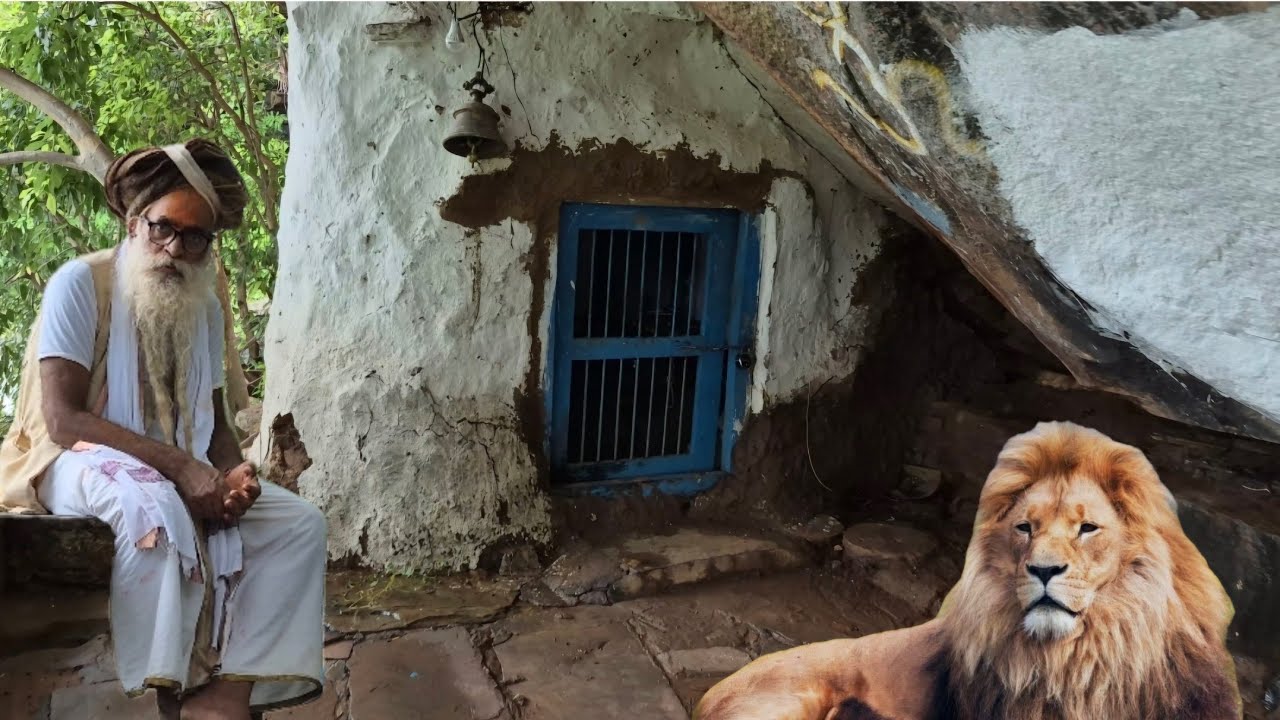 सिद्ध संत के आदेश पर शेर ने त्यागी गुफा अब संत करते हैं गुफा में साधना 