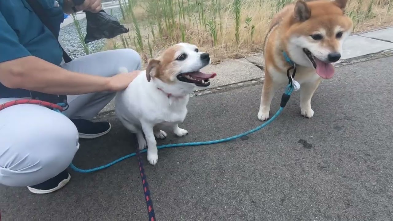おともだちに遭遇！